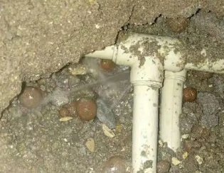 金山屯卫生间测漏